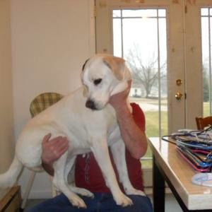 Meet your Posher, Harold